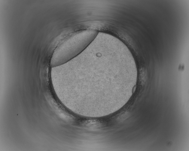 X0000112470589200909281048