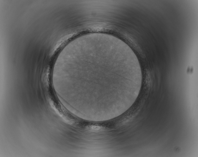 X0000112470590200909281048