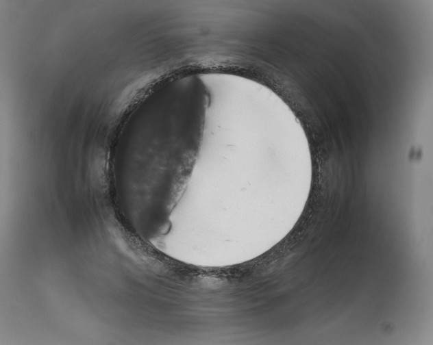 X0000112470592200909281048