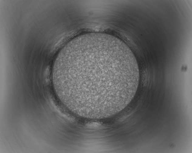 X0000112470594200909281048
