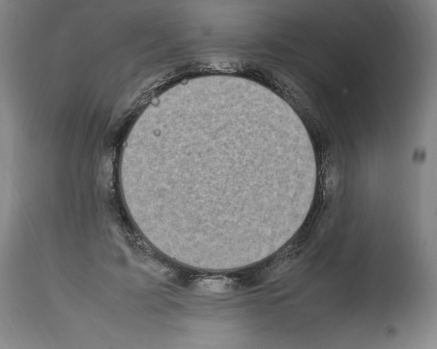 X0000112470595200909281048