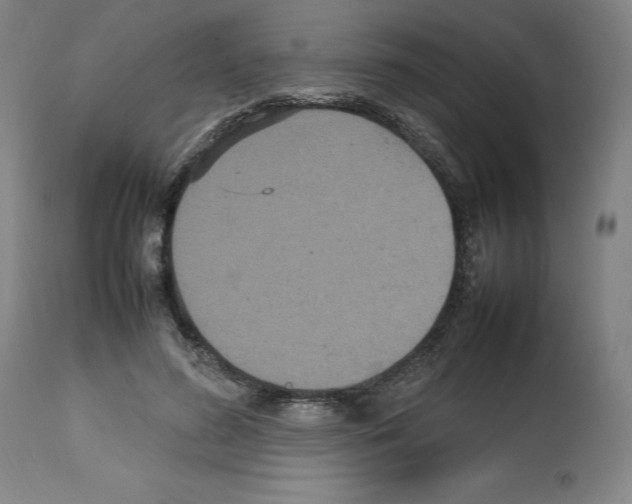X0000112470596200909281048
