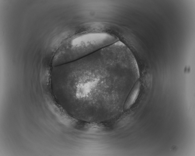 X0000112470597200909281048