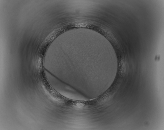 X0000112470598200909281048