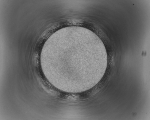 X0000112470599200909281048