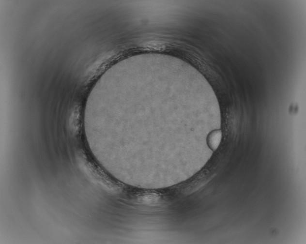 X0000112470600200909281048