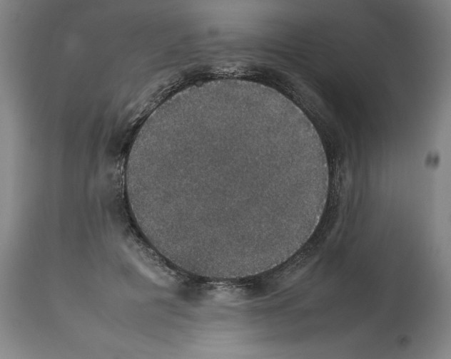 X0000112470601200909281048