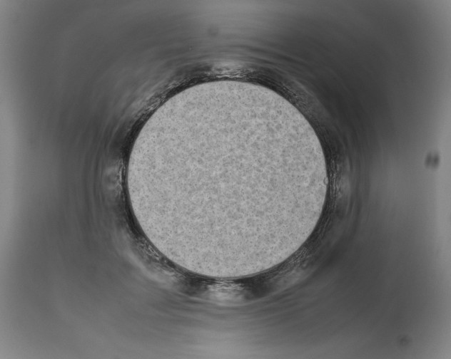 X0000112470603200909281047