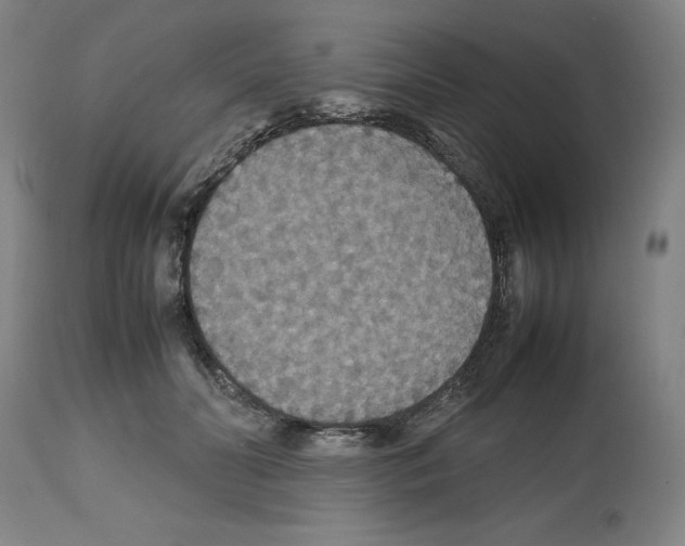 X0000112470606200909281047