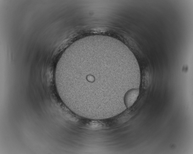 X0000112470608200909281047