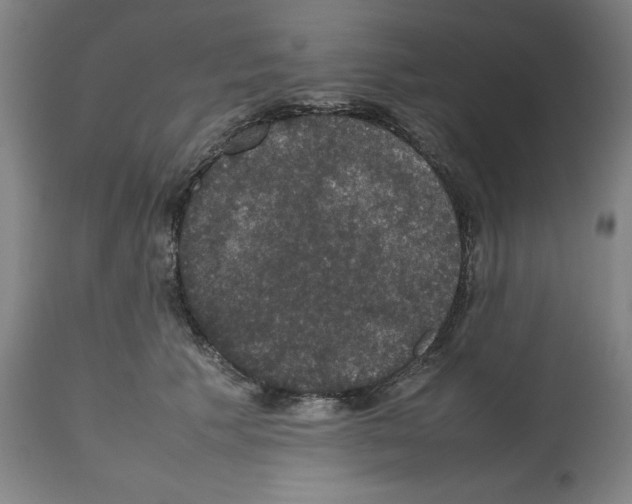 X0000112470609200909281047