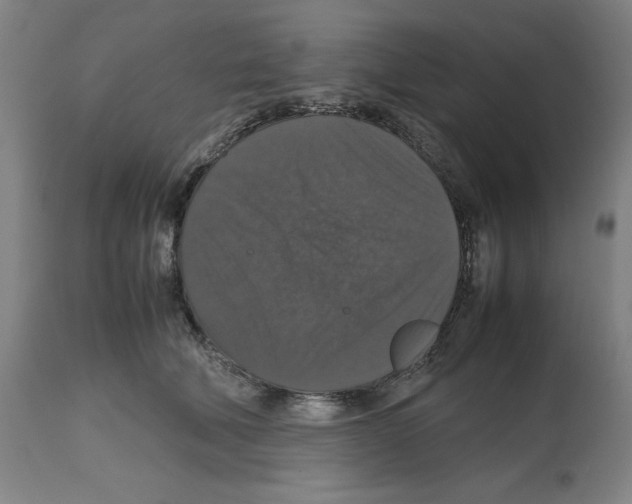 X0000112470610200909281047