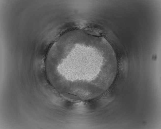 X0000112470611200909281047