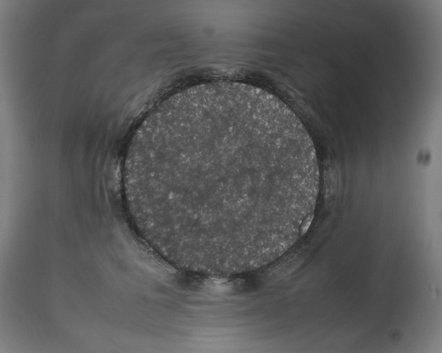 X0000112470613200909281047