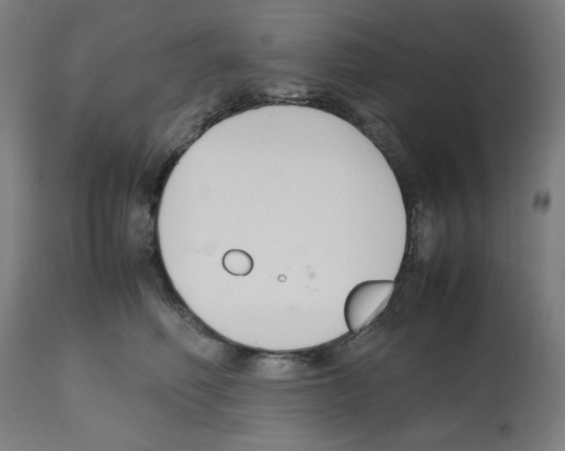 X0000112470614200909281047