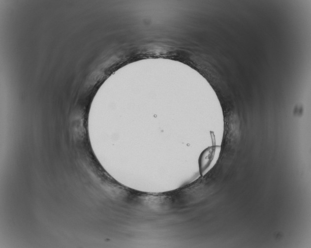 X0000112470615200909281047