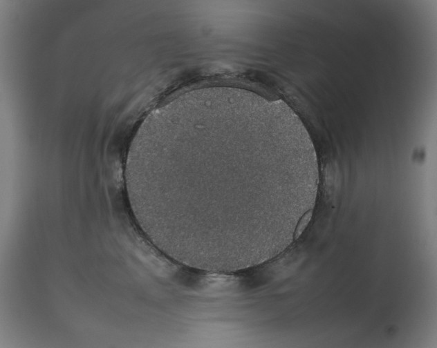 X0000112470617200909281047