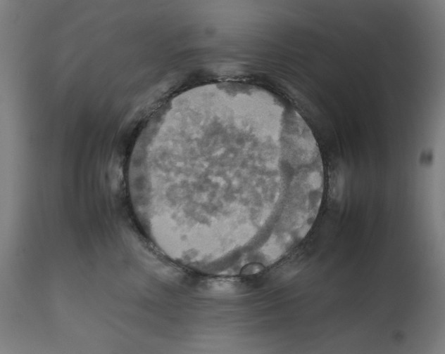 X0000112470618200909281047
