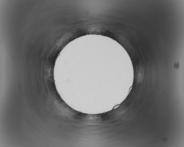 X0000112470619200909281047