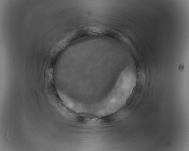 X0000112470621200909281047