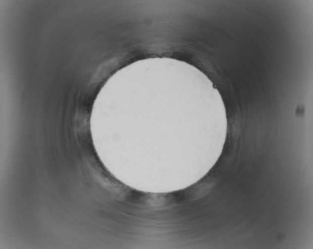 X0000112470623200909281047