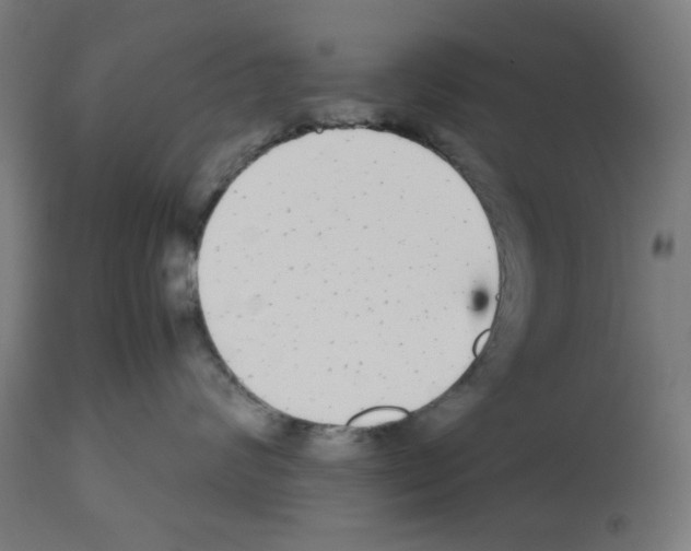 X0000112470624200909281047