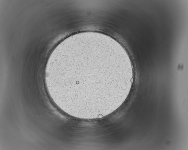 X0000112470625200909281046