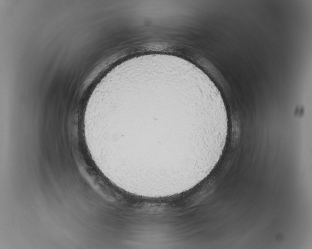 X0000112470626200909281046
