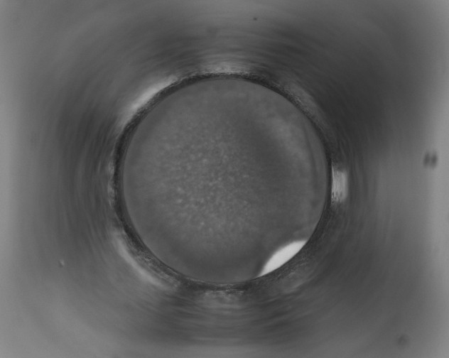 X0000112470627200909281046