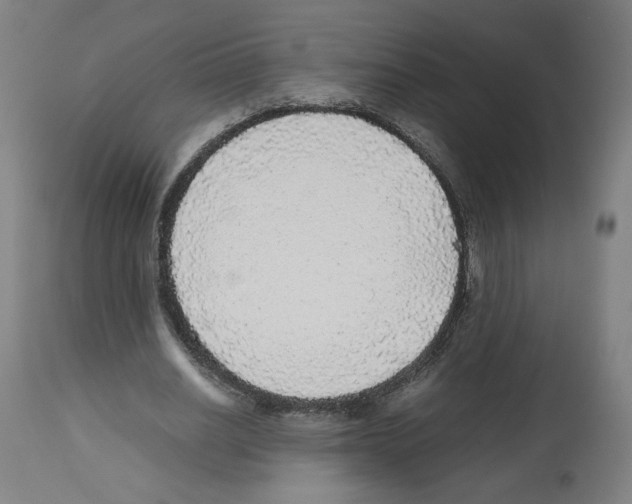 X0000112470630200909281046