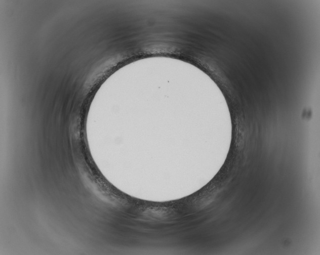 X0000112470631200909281046