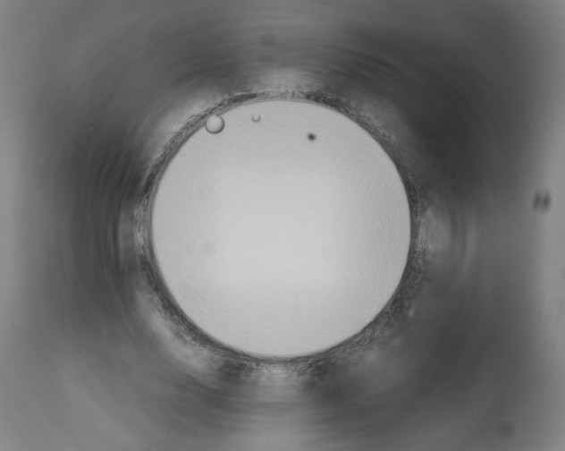 X0000112470632200909281046
