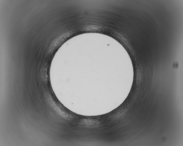 X0000112470633200909281046