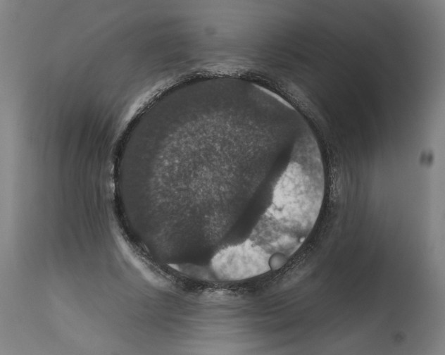 X0000112470634200909281046