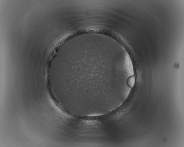X0000112470637200909281047