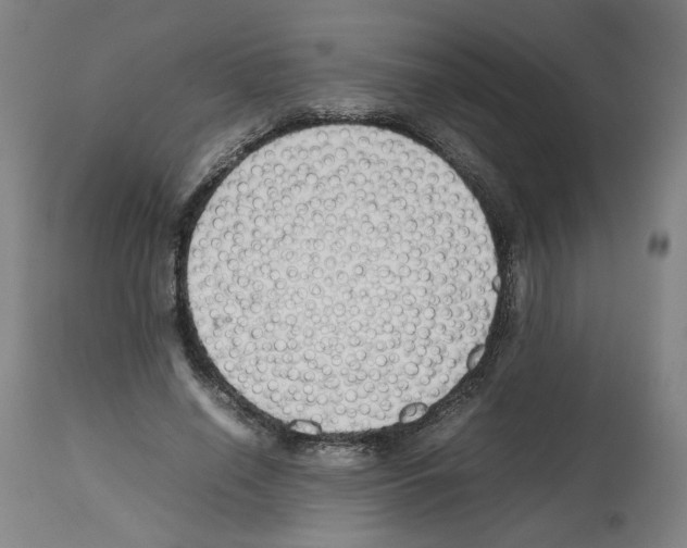 X0000112470638200909281047