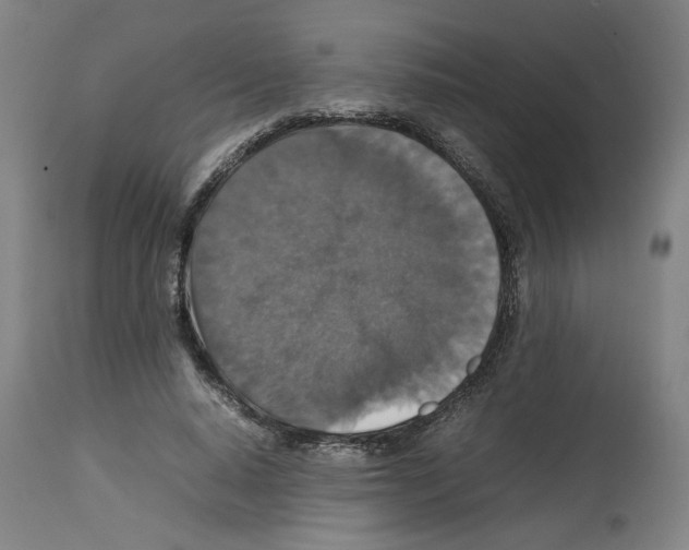 X0000112470640200909281047