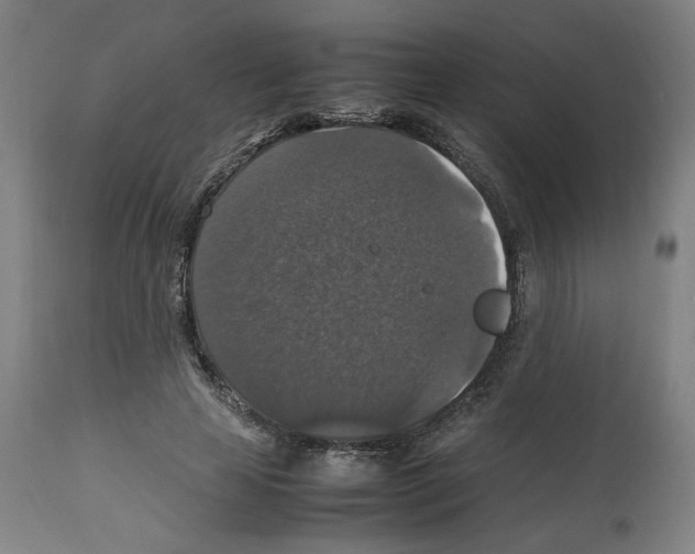 X0000112470641200909281047