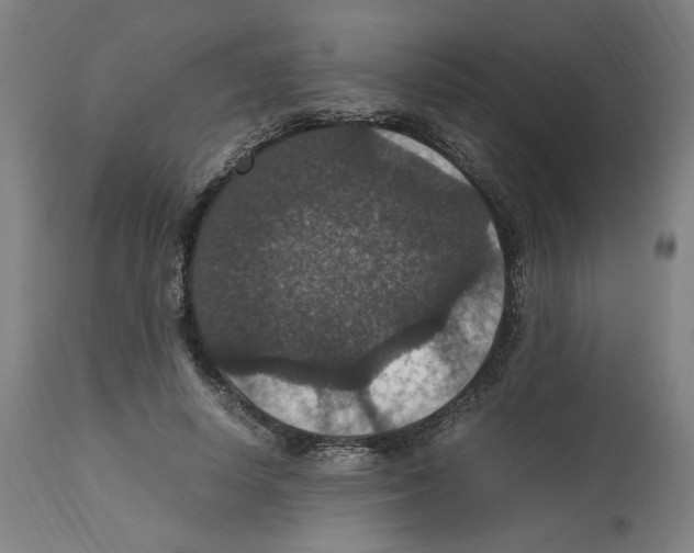 X0000112470642200909281047
