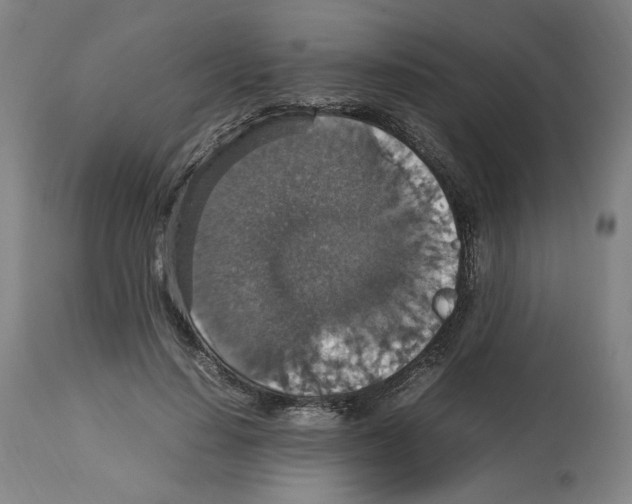 X0000112470644200909281047