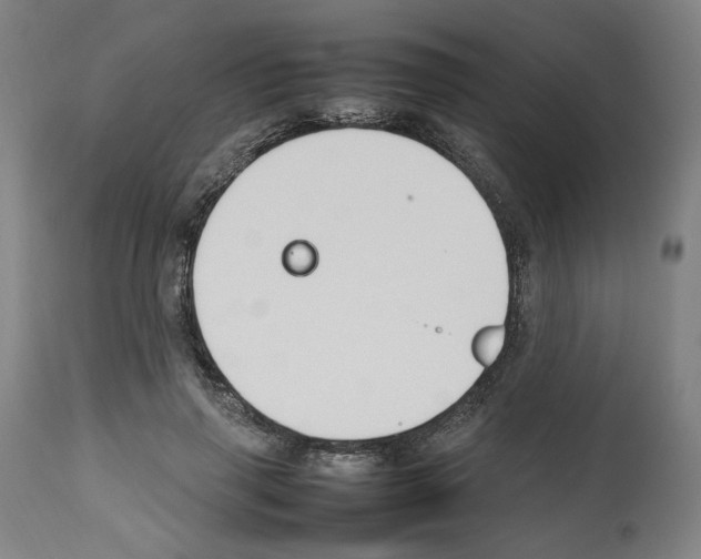 X0000112470645200909281047