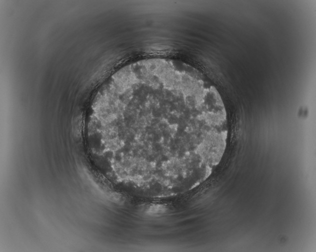X0000112470647200909281047