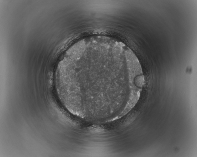 X0000112470648200909281047