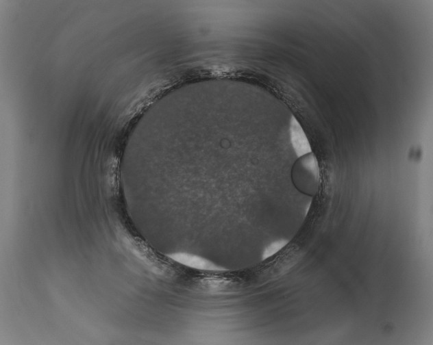X0000112470650200909281047
