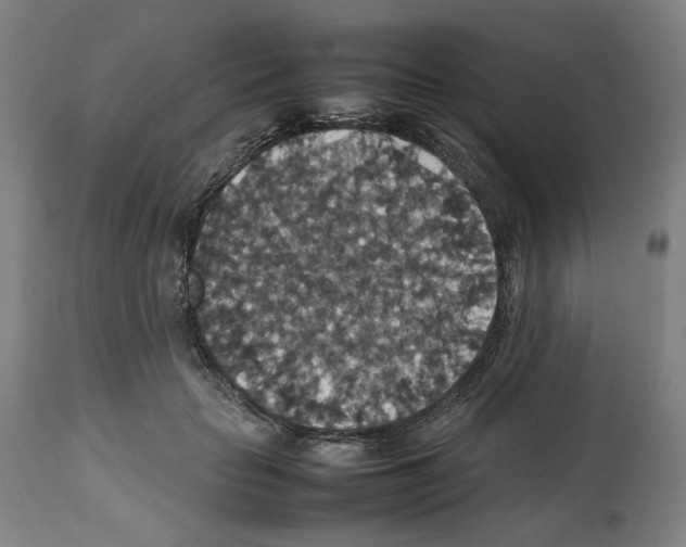 X0000112470653200909281047