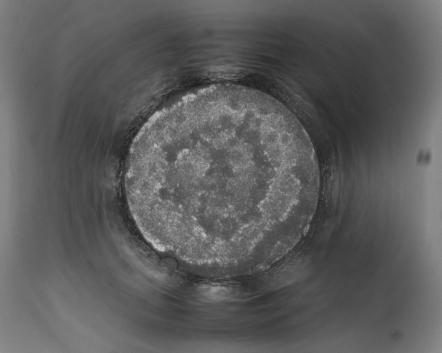 X0000112470655200909281047