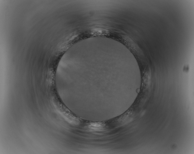 X0000112470659200909281047