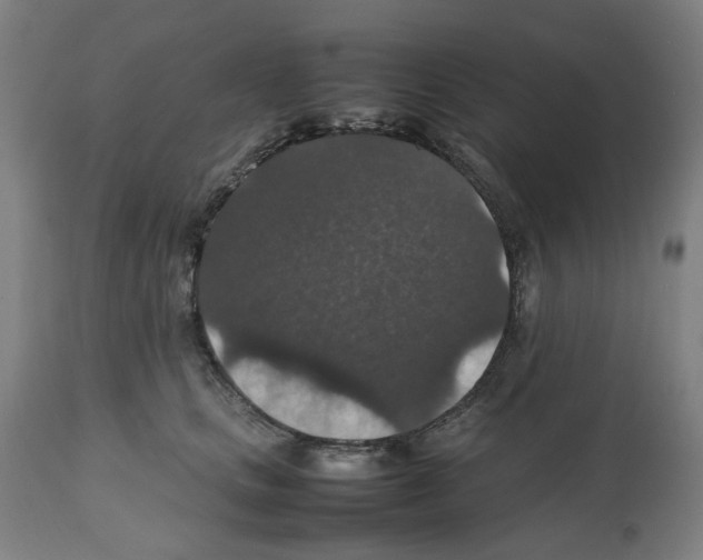 X0000112470661200909281047