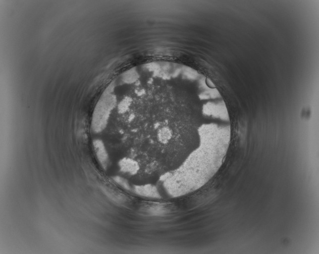 X0000112470663200909281047