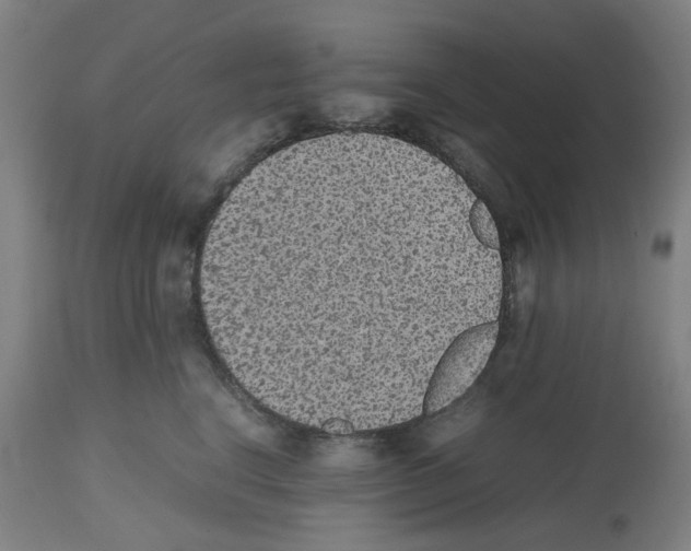 X0000112470664200909281047